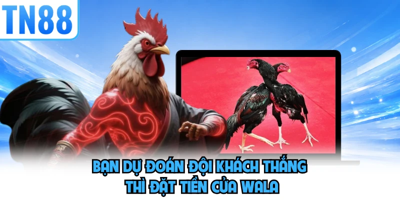 Bạn dự đoán đội khách thắng thì đặt tiền cửa Wala