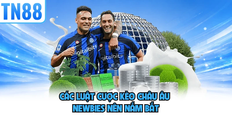 Các luật cược kèo Châu Âu newbies nên nắm bắt