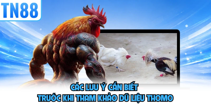 Các lưu ý cần biết trước khi tham khảo dữ liệu Thomo 