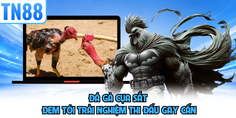 Đá gà cựa sắt đem tới trải nghiệm thi đấu gay cấn