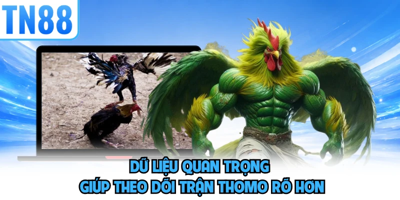 Dữ liệu quan trọng giúp theo dõi trận Thomo rõ hơn 