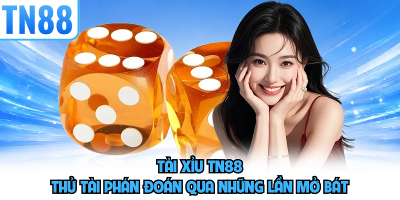 Tài Xỉu TN88 - Thử Tài Phán Đoán Qua Những Lần Mở Bát